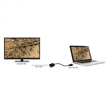Adattatore displayport maschio a vga femmina cm 15